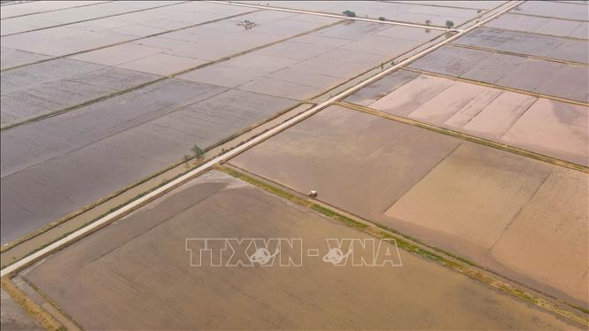 Diện tích đất nông nghiệp xã Trọng Quan (huyện Đông Hưng) đã được lấy nước để chuẩn bị gieo cấy lúa Xuân. Ảnh: Vũ Quang – TTXVN