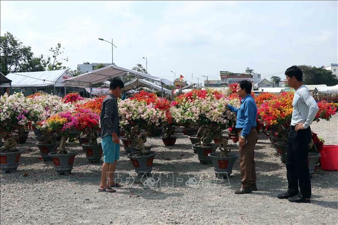 Người dân tham quan, mua sắm tại Chợ hoa kiểng thành phố Cà Mau. Ảnh: Kim Há – TTXVN