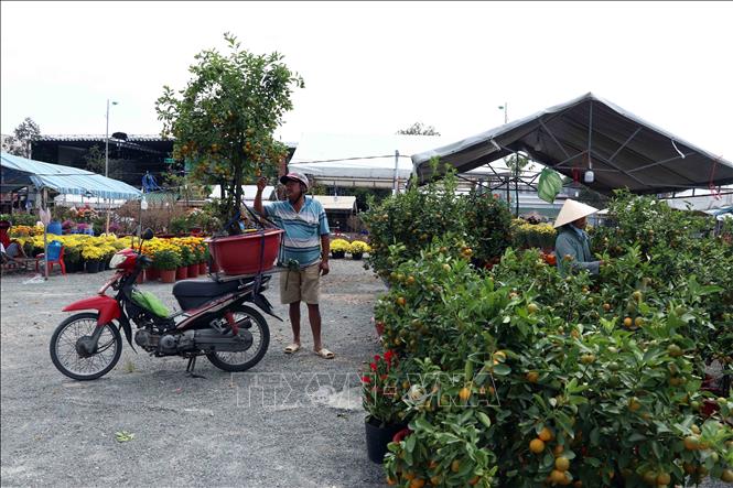 Người dân tham quan, mua sắm tại Chợ hoa kiểng thành phố Cà Mau. Ảnh: Kim Há – TTXVN