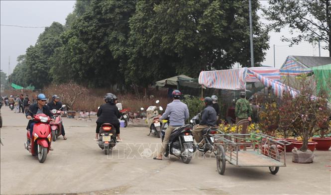 Người dân tham quan, mua sắm tại Hội chợ hoa xuân Ất Tỵ 2025. Ảnh: Thùy Dung - TTXVN