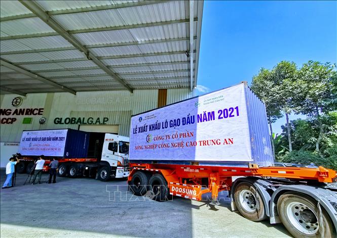 Gần 40 năm đổi mới, Việt Nam trong nhóm 40 nước có nền kinh tế lớn nhất thế giới và 20 nền kinh tế hàng đầu về thương mại và thu hút đầu tư nước ngoài; có quan hệ ngoại giao với 193 nước là thành viên Liên hợp quốc…Trong ảnh: Lễ công bố xuất khẩu lô gạo 1.500 tấn đầu năm 2021 của Công ty Cổ phần Nông nghiệp công nghệ cao Trung An đi Singapore và Malaysia. Ảnh: Thanh Liêm - TTXVN