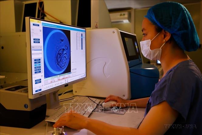 Lĩnh vực y tế của Việt Nam phát triển mạnh mẽ, đạt nhiều thành tựu. Trong ảnh: Nhờ những tiến bộ trong công nghệ, phương pháp thụ tinh trong ống nghiệm (IVF) của Bệnh viện Phụ sản Hà Nội đã mang niềm hạnh phúc đến hàng vạn gia đình. Ảnh: Minh Quyết – TTXVN