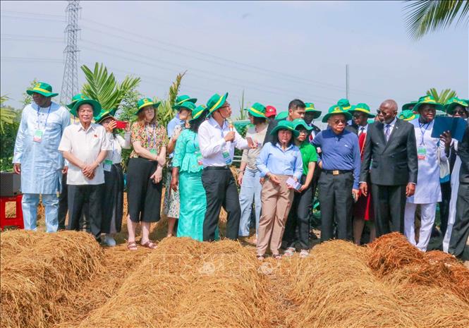 Đại biểu Liên minh Nghị viện Pháp ngữ tham quan mô hình trồng nấm rơm ở Hợp tác xã Nông trại xanh - New Green Farm, quận Thốt Nốt. Ảnh: Thanh Liêm - TTXVN 