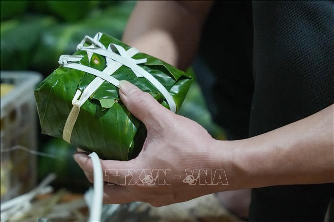 Người dân làng nghề Tranh Khúc gói bánh chưng hoàn toàn bằng tay. Ảnh: Minh Nghĩa - TTXVN.