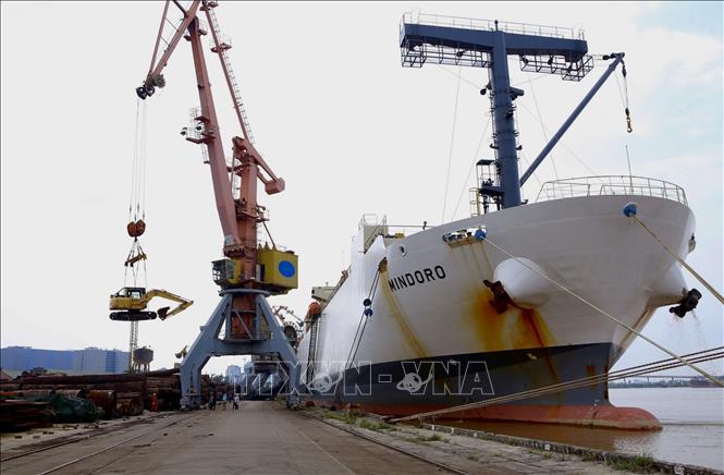 Hai Phong Seaport System Strives To Handle 112 Million Tonnes Of Cargo