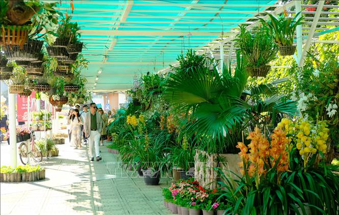 Du khách tham quan tại Hội hoa Xuân tại Đà Lạt với các khu vực trưng bày đa dạng về chủng loại, điểm nhấn. Ảnh: Nguyễn Dũng – TTXVN 