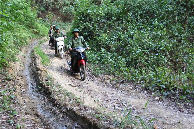 Lực lượng kiểm lâm của Công ty TNHH MTV Lâm nghiệp Krông Pa liên tục đi tuần tra, bảo vệ rừng. Ảnh: Hoài Nam - TTXVN
