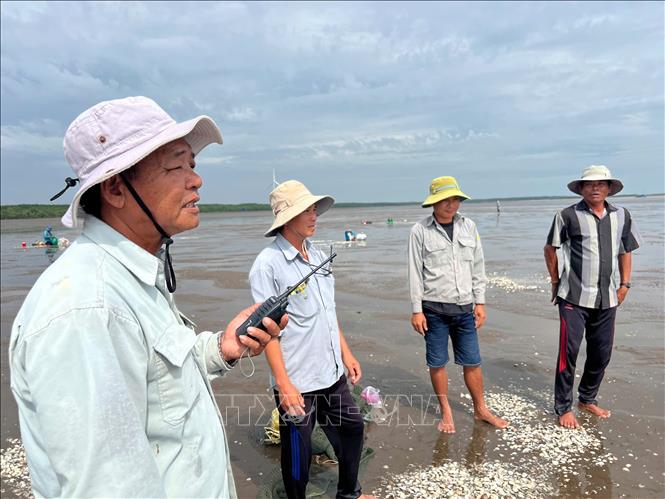 Lực lượng bảo vệ tuần tra tại bãi nghêu ven biển xã Thới Thuận, huyện Bình Đại, tỉnh Bến Tre. Ảnh: Công Trí-TTXVN