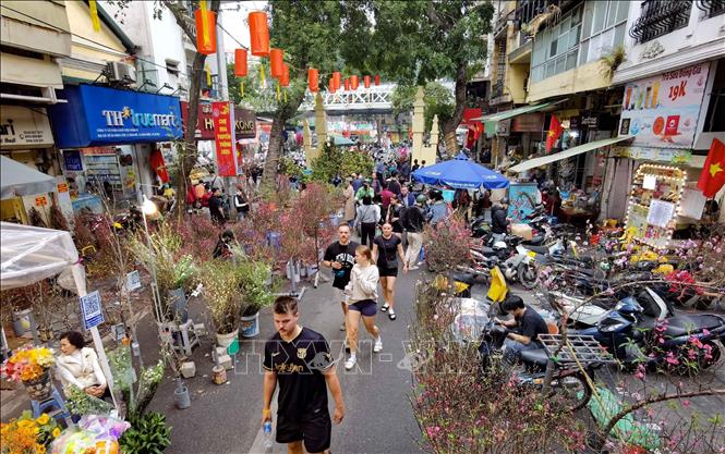 Chợ hoa Tết truyền thống Hàng Lược cũng là điểm đến văn hóa ấn tượng cho du khách khi đến với Thủ đô Hà Nội dịp này. Ảnh: Thanh Tùng - TTXVN 