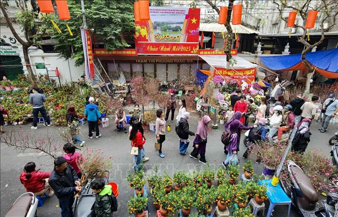 Đi chợ hoa Tết truyền thống Hàng Lược từ lâu đã trở thành nét văn hóa đặc trưng của người dân Hà thành. Ảnh: Thanh Tùng - TTXVN 