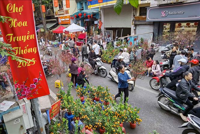 Họp vào những ngày cuối năm giữa khu vực phố cổ Hà Nội nên chợ hoa Tết truyền thống Hàng Lược luôn nhộn nhịp. Ảnh: Thanh Tùng - TTXVN