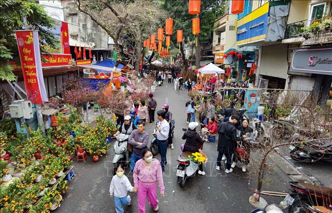 Họp vào những ngày cuối năm giữa khu vực phố cổ Hà Nội nên chợ hoa Tết truyền thống Hàng Lược luôn tấp nập. Ảnh: Thanh Tùng - TTXVN 