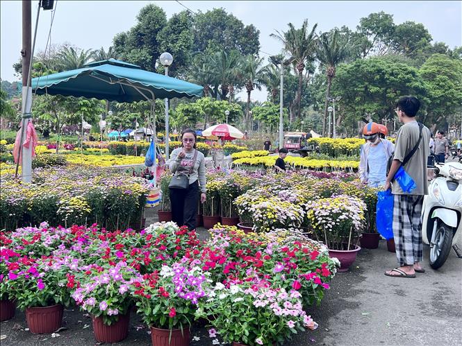 Nhiều người dân lựa chọn mua hoa ở Công viên Gia Định chiều 26/1 (nhằm ngày 27 tháng Chạp). Ảnh: Anh Tuấn - TTXVN