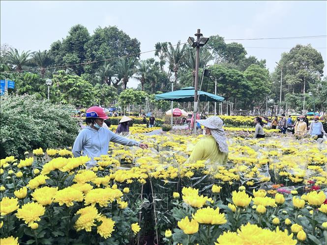 Nhiều người dân lựa chọn mua hoa ở Công viên Gia Định chiều 26/1 (nhằm ngày 27 tháng Chạp). Ảnh: Anh Tuấn - TTXVN
