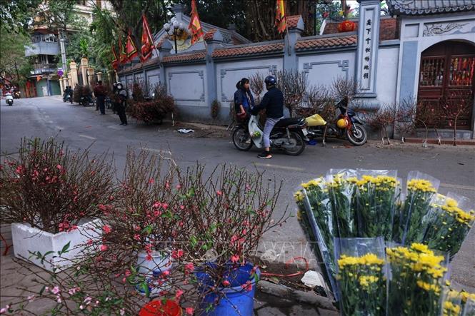 Hoa đào được bày bán trước cửa đình Khương Hạ, quận Thanh Xuân trong những ngày giáp Tết. Ảnh: Tuấn Anh  - TTXVN 