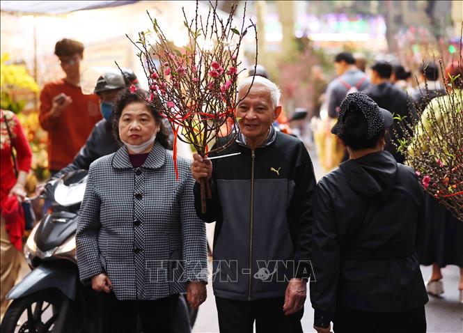 Visiting Hang Luoc Flower Market in the days before Tet is a cherished tradition for many longtime residents of Hanoi, preserving the connection between past and present. VNA Photo: Minh Đức