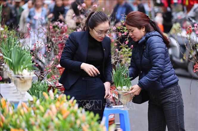 For many residents of Hanoi, visiting the market during the days leading up to Tet is an opportunity to immerse themselves in the sights and smells of the season. VNA Photo: Minh Đức