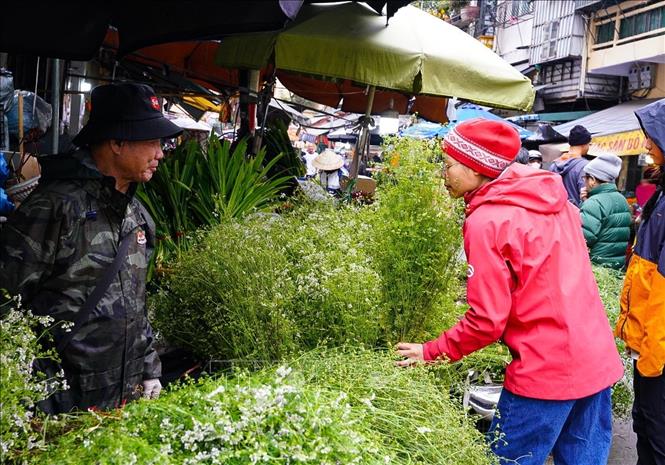 Tranh thủ hít hà hương thơm của mùi già trước khi mua về tắm tất niên theo phong tục. Ảnh: Khánh Hoà - TTXVN