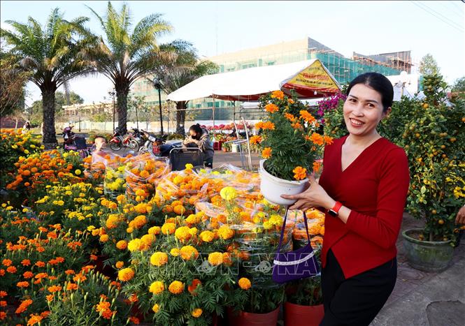 Chị Đinh Thị Vân Anh, Tổ dân phố 1A, thị trấn Đạ Tẻh (Lâm Đồng), chủ một quầy hoa chợ hoa Tết thị trấn Đạ Tẻh. Ảnh: Hồng Đạt - TTXVN
