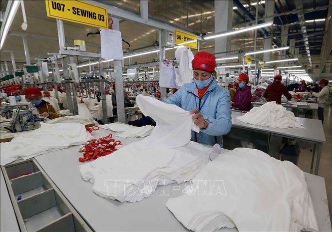 May hàng xuất khẩu tại Công ty may Tinh Lợi, Hải Dương. Ảnh: Trần Việt - TTXVN