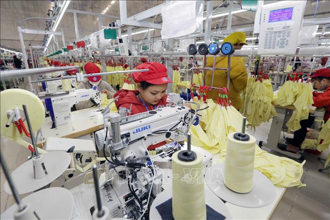 Making garments for export at the Tinh Loi Garment Co. Ltd in the northern province of Hai Duong. VNA Photo: Trần Việt