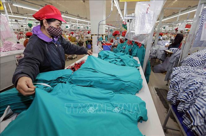 Making garments for export at the Tinh Loi Garment Co. Ltd in the northern province of Hai Duong. VNA Photo: Trần Việt