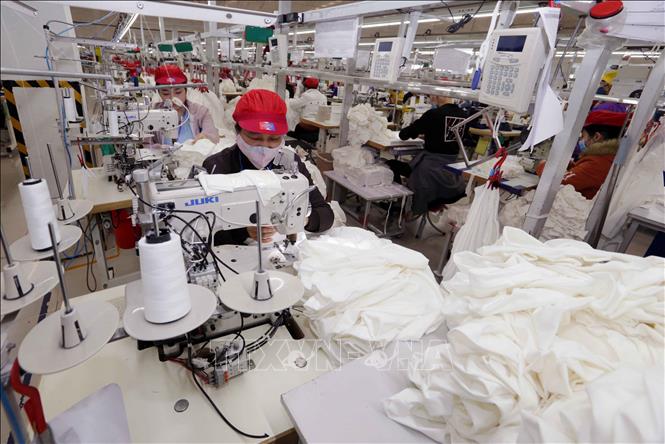 Making garments for export at the Tinh Loi Garment Co. Ltd in the northern province of Hai Duong. VNA Photo: Trần Việt