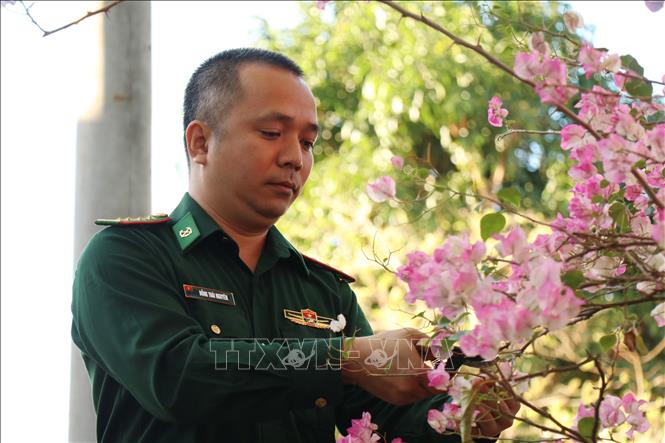 Chiến sĩ đồn Biên phòng Bo Heng cắt tỉa cây cảnh chuẩn bị đón Tết Nguyên đán Ất Tỵ 2025. Ảnh: Tuấn Anh – TTXVN