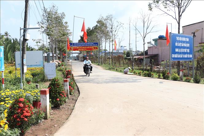 Không khí Xuân ở xã đảo Hưng Phong. Ảnh: Công Trí-TTXVN