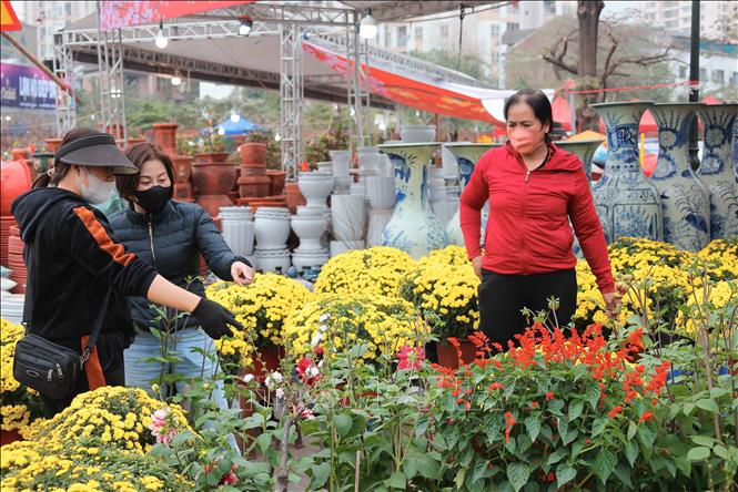 Various colourful flowers at a market in Hoang Mai district of Hanoi. VNA Photo