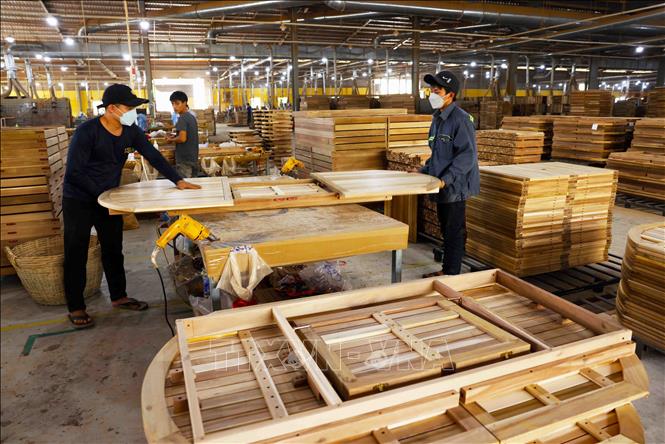 Năm 2024, xuất khẩu gỗ và sản phẩm đạt 16,25 tỷ USD, vượt kỷ lục cũ được xác lập năm 2022. Triển vọng xuất khẩu 2025 dự báo tích cực và hướng đích 18 tỷ USD. Sự tăng trưởng này đến từ những tín hiệu tích cực từ các thị trường như Hoa Kỳ, EU...Ảnh: Vũ Sinh - TTXVN