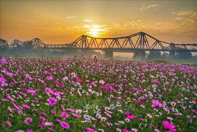 Sunset over Long Bien bridge. VNA Photo: Khánh Hòa