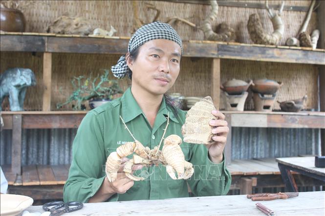 Anh Lê Ngọc Dư cùng các đốt tre, gốc tre để tạo dáng cho một con ốc mượn hồn. Ảnh: Thanh Tân - TTXVN
