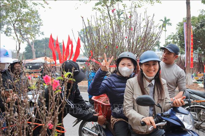 Peach blossoms are considered a demonstration of novelty, proliferation and development, so it can deliver health, peace and good luck to people when a new year comes. VNA Photo