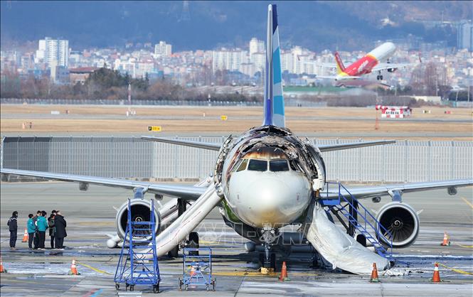 Máy bay của Hãng hàng không Air Busan bị phá hủy do cháy tại sân bay quốc tế Gimhae, Hàn Quốc, ngày 29/1/2025. Ảnh: Yonhap/TTXVN