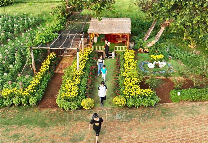 Du khách tham quan khu Tiểu cảnh Tết Việt mang hương sắc mùa xuân trong khu du lịch Đảo Ó - Đồng Trường. Ảnh: Hồng Đạt - TTXVN 