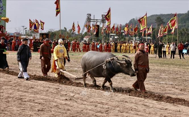 Ông Nguyễn Ngọc An (75 tuổi, trú tại xã Tiên Sơn, thị xã Duy Tiên, tỉnh Hà Nam) “vào vai” nhà vua Lê Đại Hành xuống đồng cày ruộng đầu năm với bà con. Ảnh: Trần Việt - TTXVN 
