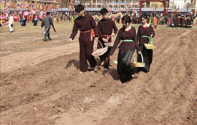 Các nam thanh, nữ tú với nghi thức rắc hạt. Ảnh: Trần Việt - TTXVN 