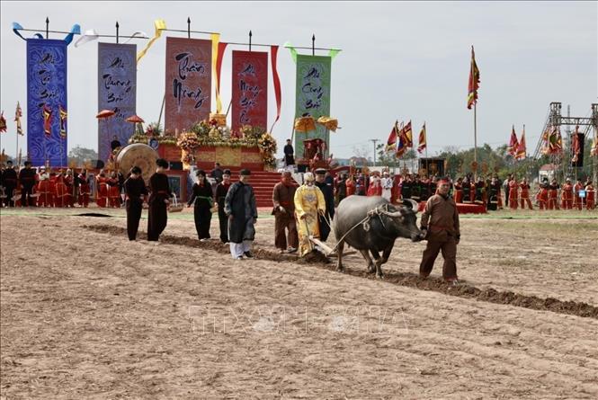 Ông Nguyễn Ngọc An (75 tuổi, trú tại xã Tiên Sơn, thị xã Duy Tiên, tỉnh Hà Nam) “vào vai” nhà vua Lê Đại Hành xuống đồng cày ruộng đầu năm với bà con. Ảnh: Trần Việt - TTXVN 