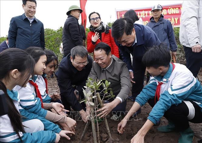 Bộ trưởng Bộ Tài nguyên và Môi trường cùng lãnh đạo tỉnh Thái Bình, các học sinh trồng cây tại Khu Bảo tồn thiên nhiên đất ngập nước Thái Thụy. Ảnh: Thu Hoài - TTXVN
