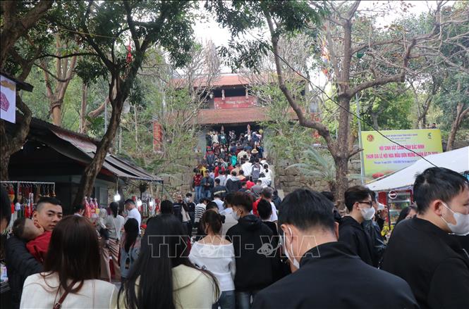 Đông đảo du khách đến Hội Khán hoa mẫu đơn chùa Phật Tích, huyện Tiên Du, tỉnh Bắc Ninh. Ảnh: Thanh Thương- TTXVN