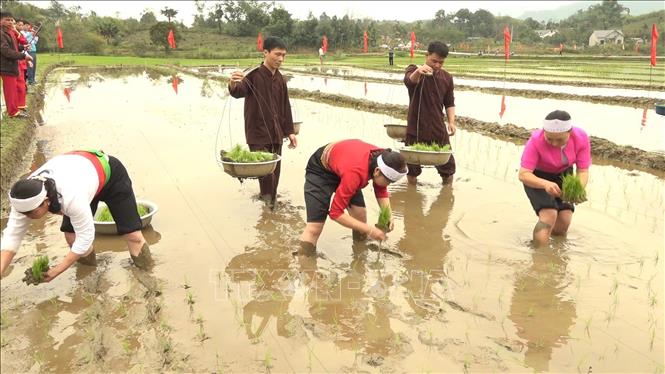 Lễ hội Hạ điền là nghi lễ nông nghiệp truyền thống của người Mường ở xã Mỹ Lung, huyện Yên Lập, diễn ra trong 2 ngày mùng 6 và 7 tháng Giêng hằng năm. Ảnh: TTXVN phát