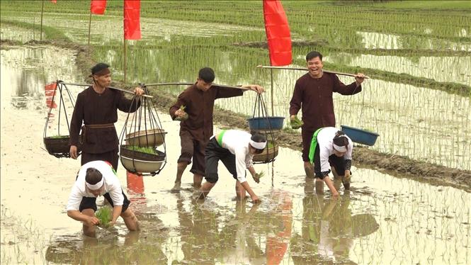 Công tác phục dựng Lễ hội Hạ điền của người Mường xã Mỹ Lung thuộc Dự án “Phục dựng và đề xuất giải pháp bảo tồn, phát huy một số di sản văn hóa tiêu biểu của dân tộc Mường gắn với phát triển du lịch cộng đồng tại xã Mỹ Lung, huyện Yên Lập, tỉnh Phú Thọ”. Ảnh: TTXVN phát