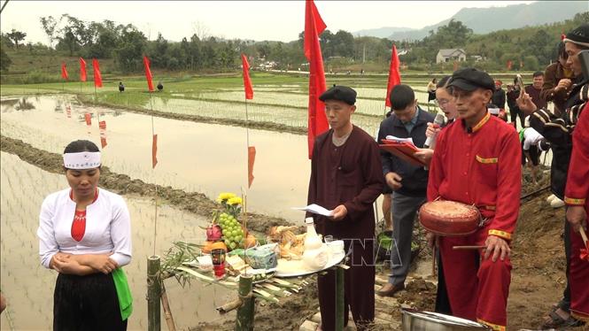 Thầy Mo người Mường làm nghi thức cúng trước khi xuống đồng. Ảnh: TTXVN phát