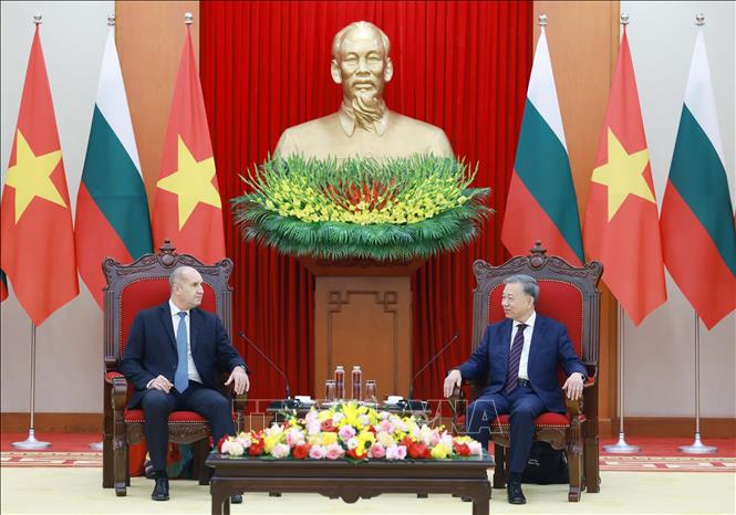 Tổng Bí thư Tô Lâm tiếp Tổng thống Cộng hòa Bulgaria Rumen Radev thăm chính thức Việt Nam (Hà Nội, 25/11/2024). Ảnh: Thống Nhất – TTXVN