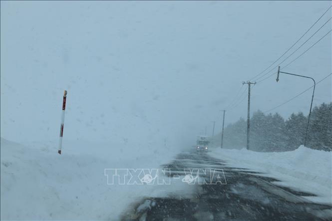 Tuyết phủ trắng ngoại ô Sapporo, Hokkaido (Nhật Bản) ngày 4/2/2025. Ảnh: THX/TTXVN