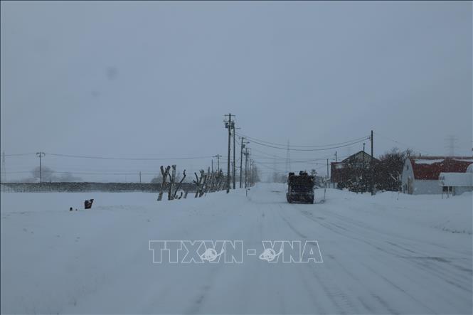 Tuyết phủ trắng ngoại ô Sapporo, Hokkaido (Nhật Bản) ngày 4/2/2025. Ảnh: THX/TTXVN