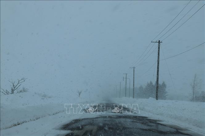 Tuyết phủ trắng ngoại ô Sapporo, Hokkaido (Nhật Bản) ngày 4/2/2025. Ảnh: THX/TTXVN