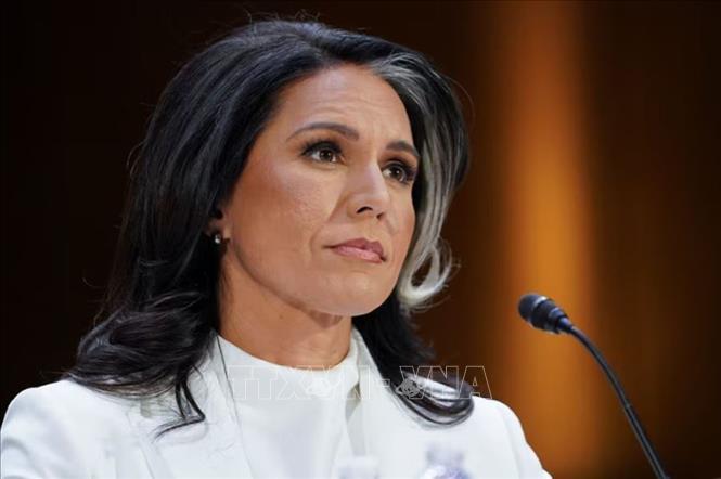 Bà Tulsi Gabbard. Ảnh: REUTERS/TTXVN