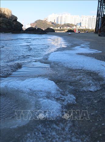 Nước đóng băng trên bãi biển Dadaepo ở cảng Busan, Đông Nam Hàn Quốc ngày 4/2/2025. Ảnh: YONHAP/TTXVN
